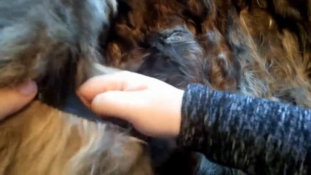 РАСПАКОВКА № 2: МУЖСКАЯ КУРТКА смотреть онлайн