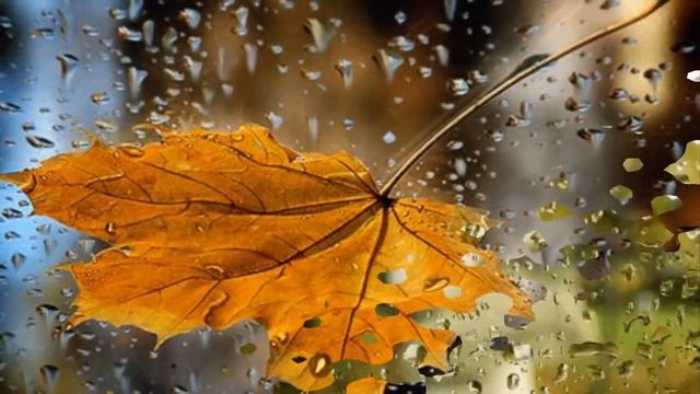 онлайн - проект "РелакСтихиЯ" Стихотворение А.Ахматовой, читает О.Баталова смотреть онлайн