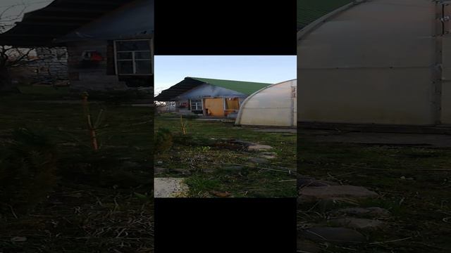 Весенняя уборка