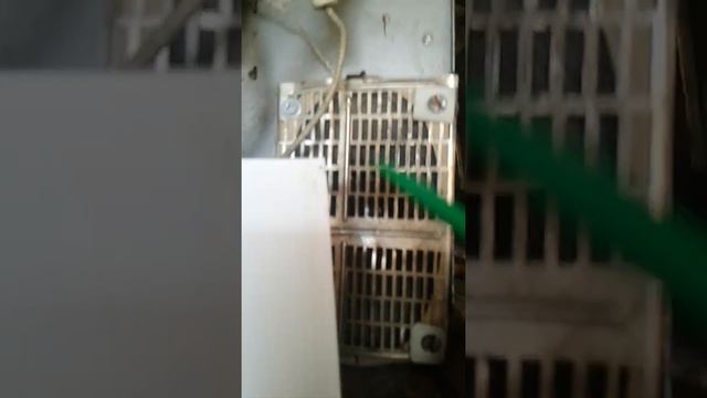 Две боковые полосы смотреть онлайн