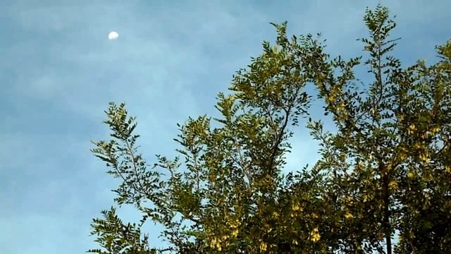 Samsung MV800 video test смотреть онлайн