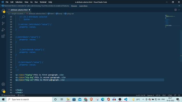 Web Development Tutorial | CSS Attribute Selector | Html,css ,Js Tutorial in Hindi смотреть онлайн