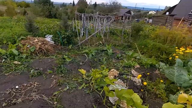 Засорилась труба в бане, уборка урожая. #урожай,#влог,#всесамисвоимируками. смотреть онлайн