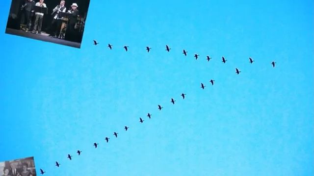 "Альбом прошедшего листая..." Романтическая коллекция. Э.Качанов, В.Глузман, С.Антипов. смотреть онлайн