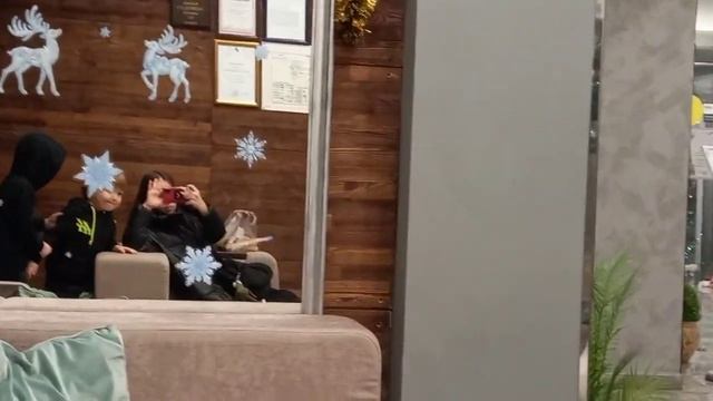 НОВОГОДНИЙ ВЛОГ _ Как я провела Новый год ! смотреть онлайн