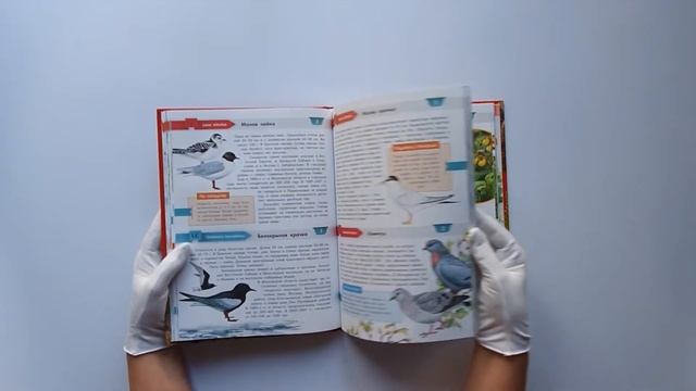 Красная книга Москвы и Подмосковья смотреть онлайн