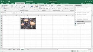 Как в Excel вставить картинку в ячейку или группу ячеек