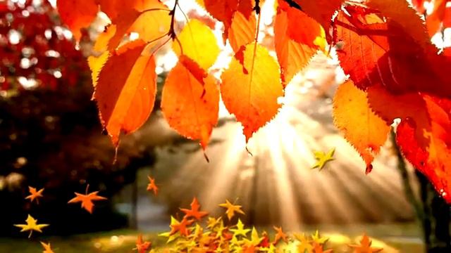 Валерий Певзнер Из Long Islanda в Париж смотреть онлайн