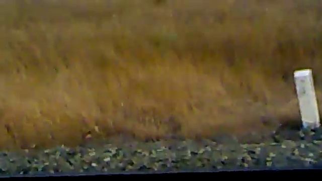 пожары в Волгоградской области.mp4 смотреть онлайн