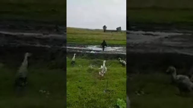 Мама отпустила погулять смотреть онлайн