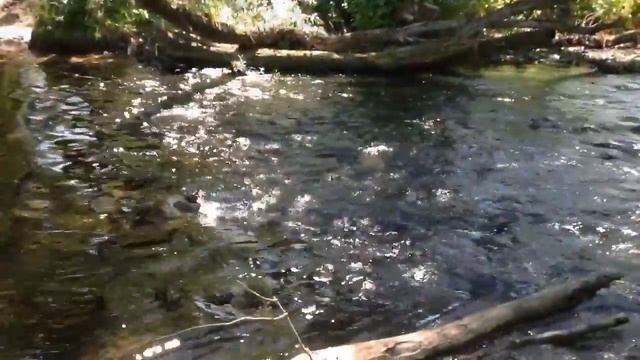 Алексин и его окрестности смотреть онлайн