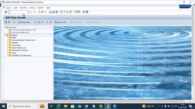 SAP BASIS - SAP SPOOL ADMINISTRATION смотреть онлайн