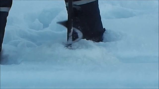 Мотобур Greenline BD620 смотреть онлайн