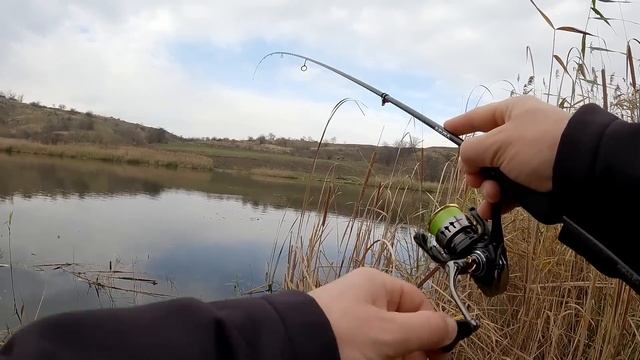Окунь в очереті рибалка на силікон ловля окуня на спінінг Azura Sawada Light Rod смотреть онлайн