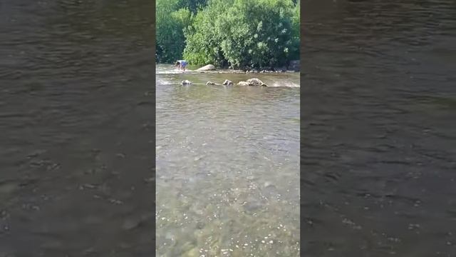 Беловский Водопад 😎 #путешествия #отдых #сибирь #сибирь_моя #отдых #водопад смотреть онлайн