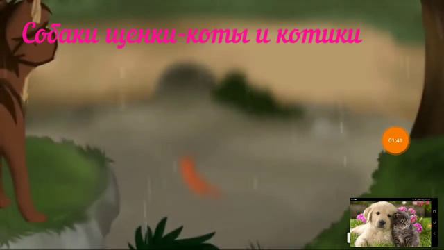 Коты воители-Имя 404 смотреть онлайн