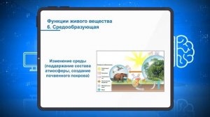 Биосфера.  Круговороты веществ..mp4