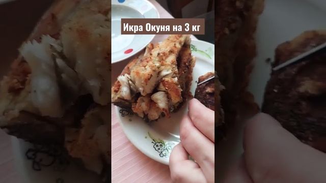 Жареная #икра окуня на 3 кг ?? #shorts #рыбалка #самара смотреть онлайн