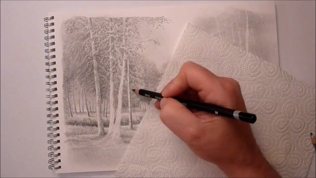 How To Draw Landscapes, Trees, Grass, Foliage, Water, Using Graphite pencils смотреть онлайн