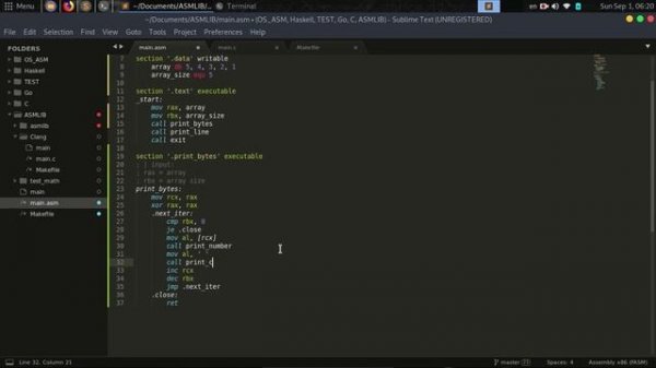 // Язык Ассемблера #6 [FASM, Linux, x86-64] //