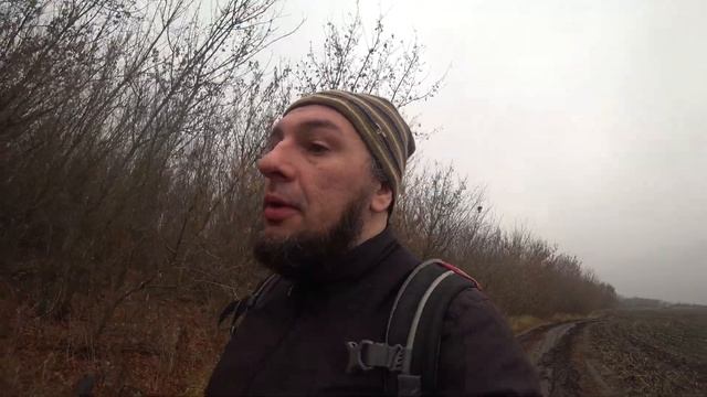 медитация и странная собачёнка на обочине , поделился обедом . смотреть онлайн