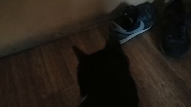 Катя хватку не теряет.