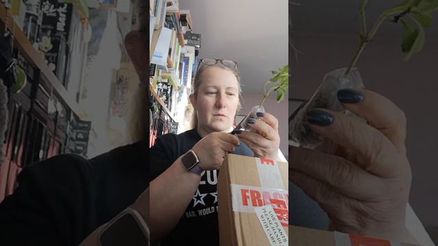 FreePlants for... Free Plants! смотреть онлайн