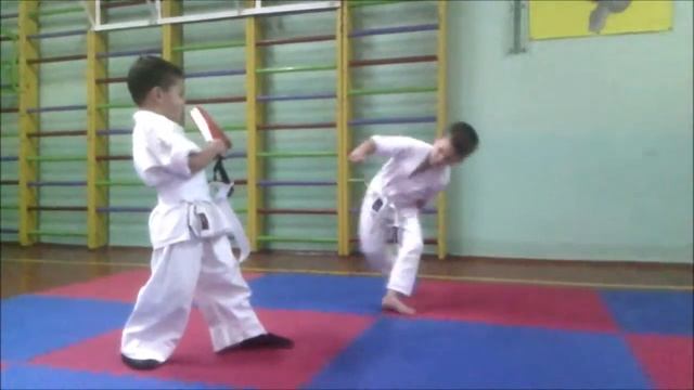 Combo Vine #3615 Киокушинкай, вертуха, 5 лет смотреть онлайн