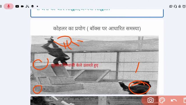 सूझ का सिद्धांत Gestalt theory of learning (Basic concept) смотреть онлайн