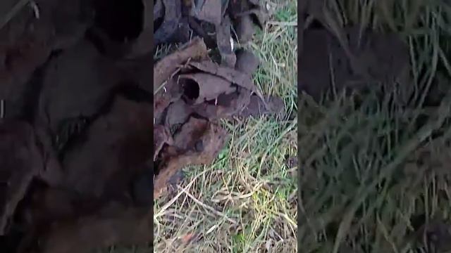 Реальная модернизация мд 4030 | моя доработка и тест в поле | увеличил глубину поиска смотреть онлайн