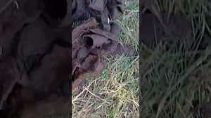 Реальная модернизация мд 4030 | моя доработка и тест в поле | увеличил глубину поиска