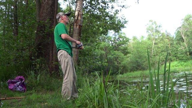 Рыбалка в тихой заводи. Река Пионерка. Поплавок.Fishing In A Quiet Backwater. Pionerka River. Float