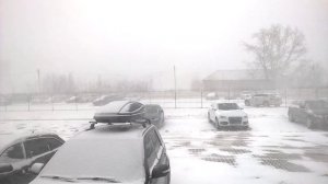 А за окном метель метет, белая красавица