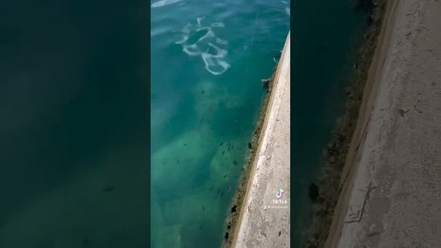 Рыбалка без лицензии смотреть онлайн