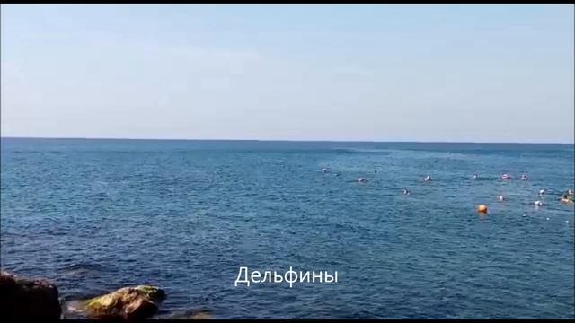 Пляжи Архипо-Осиповки 30 августа / Видео от родственников