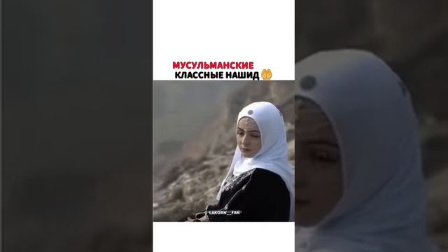 нашид#муслим#islam #машаллах #алхамдулиллах #ислам #muhammad #alhamdulillah #inshallah