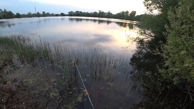 Ловля карася на поплавок в камышах смотреть онлайн