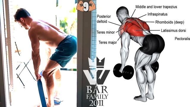 Home Bodyweight (Back Workout)