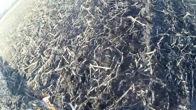 охота на гуся весной в Татарстане 2021 смотреть онлайн