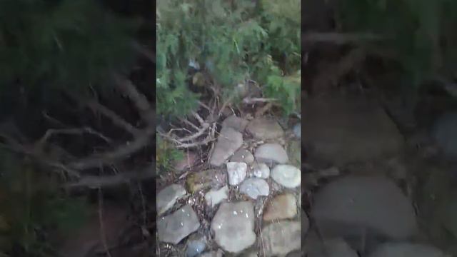 1.Таруса любимый сердцу уголок смотреть онлайн