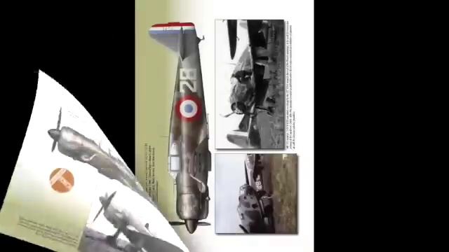 Polish Fighter Colours preview смотреть онлайн