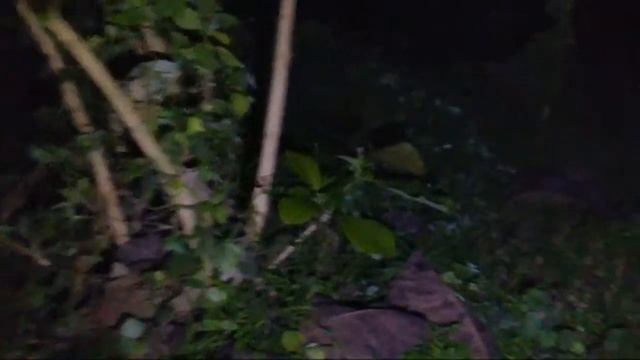 CARI HANTU POCONG смотреть онлайн