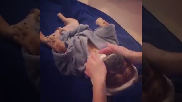 Чтоб я так жил смотреть онлайн