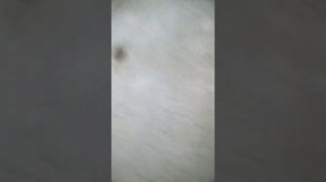 Схема стандартной электропроводки двухкомнатной квартиры панельного дома