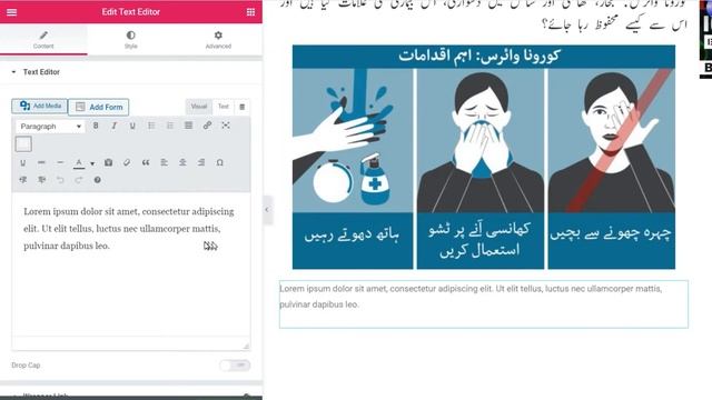 How to write Urdu or make Urdu Posts using elementor in wordpress 2020 смотреть онлайн