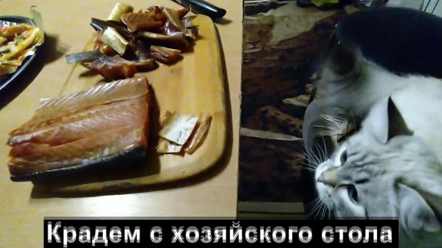 #14. Банда на отдыхе.