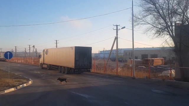Зимой лучше дома ) смотреть онлайн