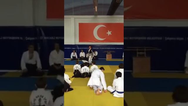 Türkiye Wushu Aikido Federasyonu Kocaeli Semineri смотреть онлайн