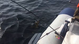 РЫБАЛКА  на БЕЛОМ МОРЕ КАРЕЛИЯ