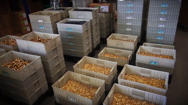 Giacomini Group смотреть онлайн